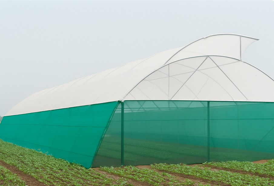 Hybrid & Special Structures (Poly-Net Houses)