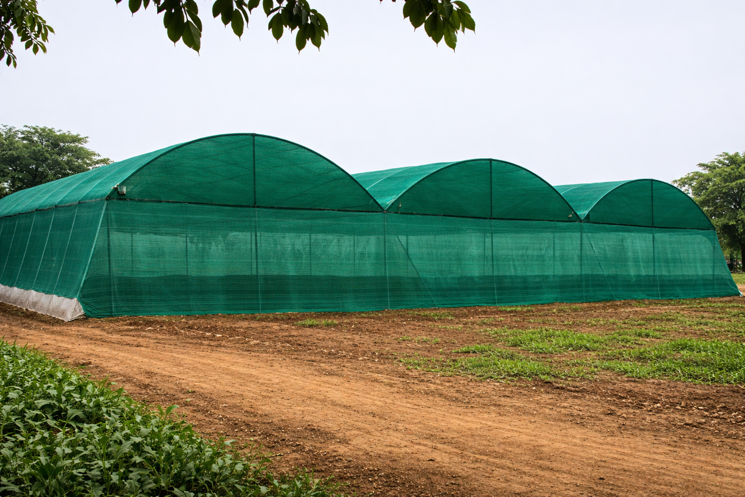 Poly roof + shade net hybrid