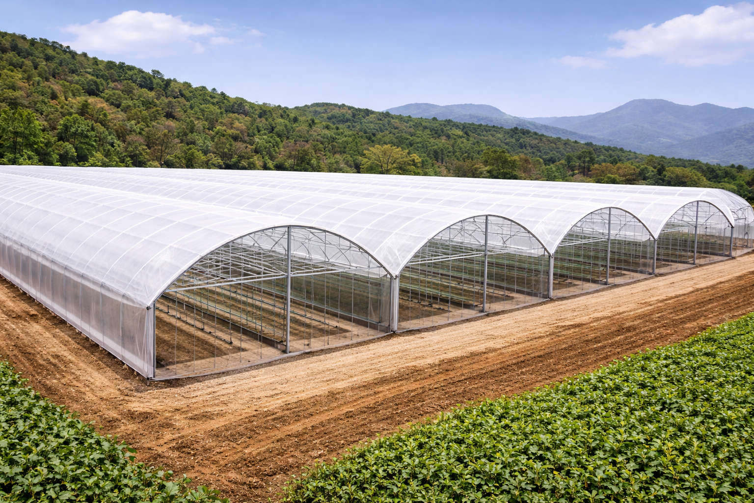 Multi Span High Tunnel